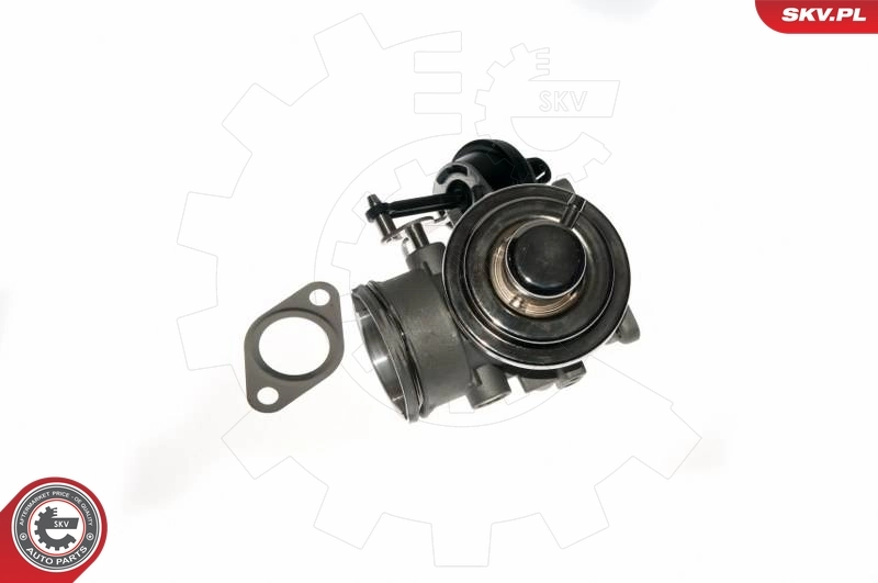 EGR Valve